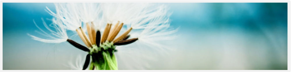 Don't let allergies control your life.