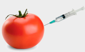 gmo-genetically-engineered-food